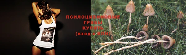 МДМА Белоозёрский