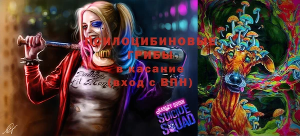 марки nbome Беломорск