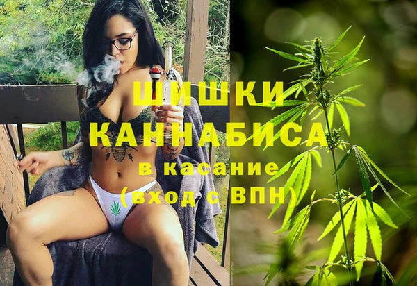 тгк Белокуриха