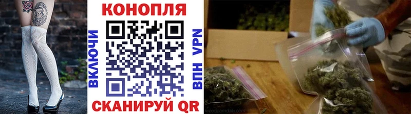Бошки марихуана Bruce Banner  Свободный 